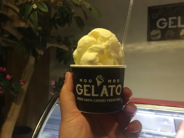 Gambar Makanan Moo Moo Gelato 3