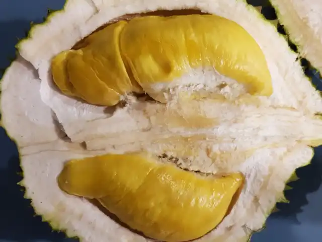 Durian Gemuk Mantin Food Photo 10