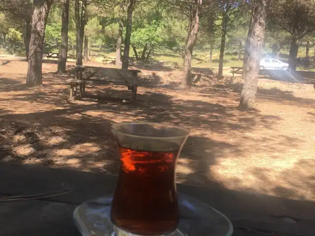 Göktürk Garden'nin yemek ve ambiyans fotoğrafları 3