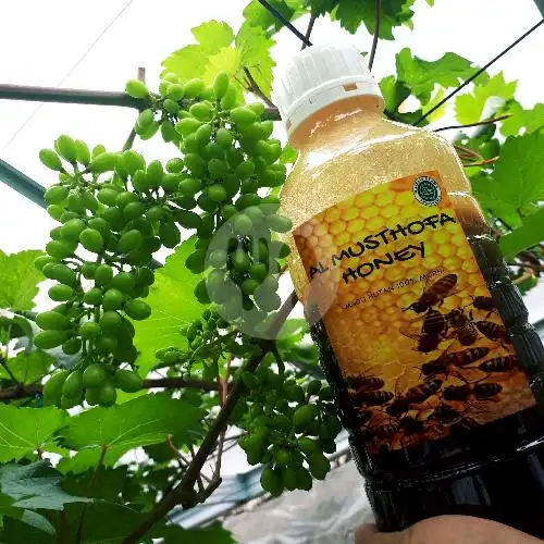 Gambar Makanan ALMUSTHOFA HONEY MADU HUTAN MURNI 3