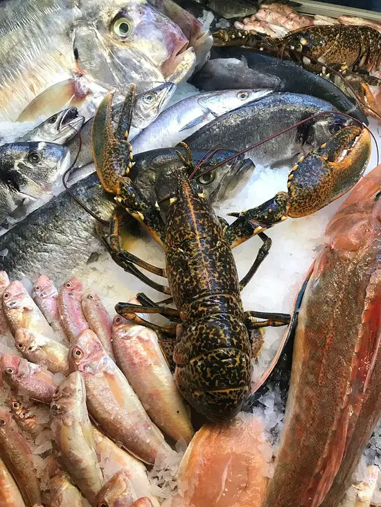 Teras Balık'nin yemek ve ambiyans fotoğrafları 10
