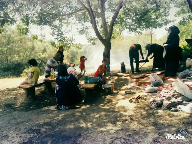 Ortaköy Piknik Alanı'nin yemek ve ambiyans fotoğrafları 3