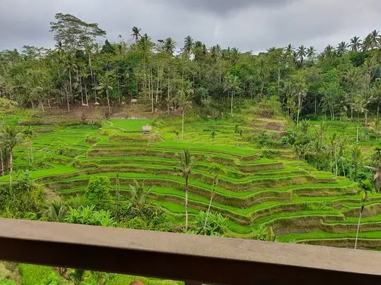 Carik Terrace Warung