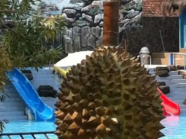 Gambar Makanan Sentra Durian Sinapeul 6
