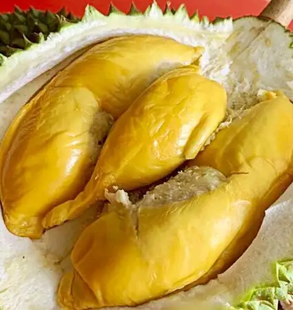 Durian Specialist Food Photo 5