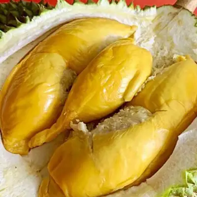 Durian Specialist