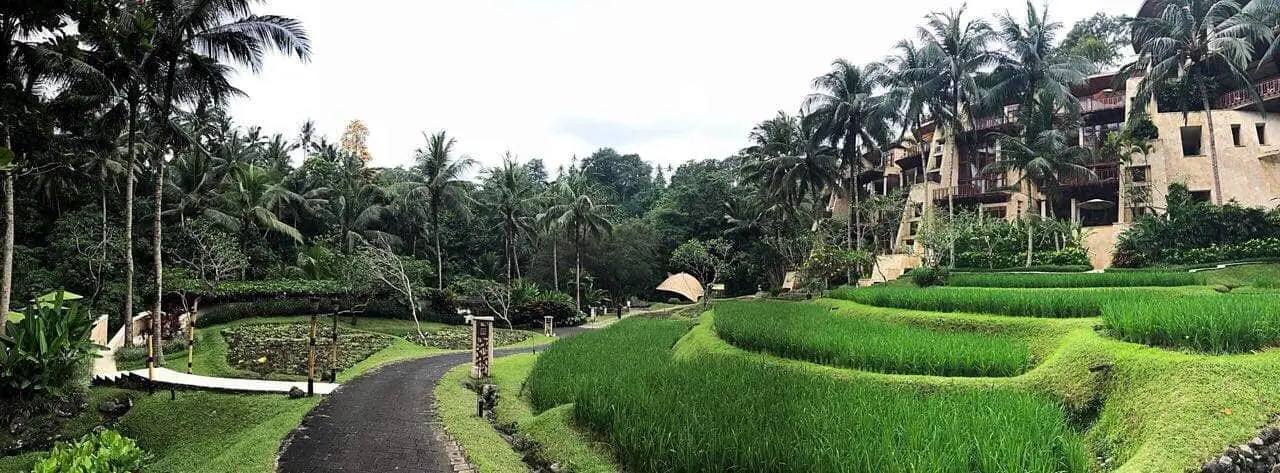 Gambar Makanan Riverside - Four Seasons Resort Bali at Sayan 5