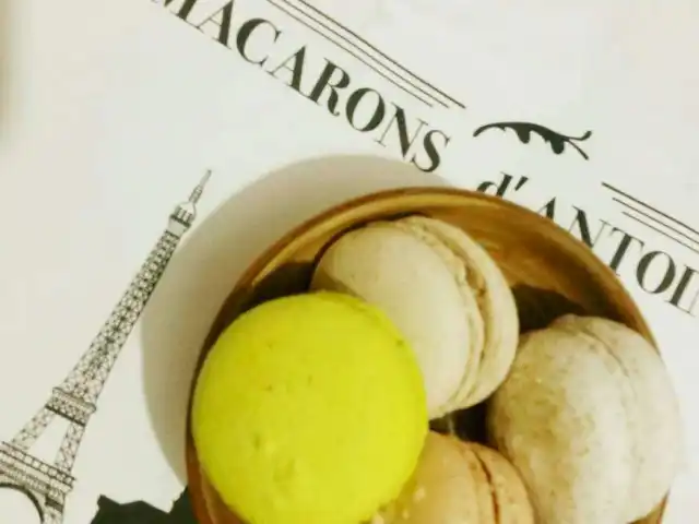 Macarons d'Antoinette'nin yemek ve ambiyans fotoğrafları 18