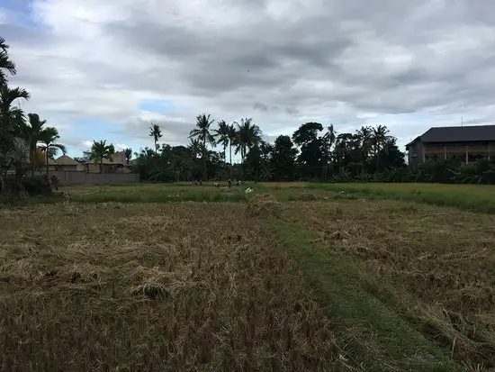 Gambar Makanan Monsieur Spoon Ubud 2