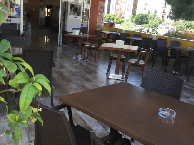 Tarçın Cafe'nin yemek ve ambiyans fotoğrafları 6