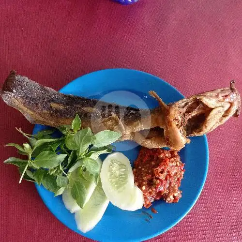 Gambar Makanan Pecel Ayam Dua Saudara, Sunter 19