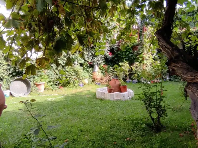 Aksehir Evi Gıcılı Bahçe'nin yemek ve ambiyans fotoğrafları 9