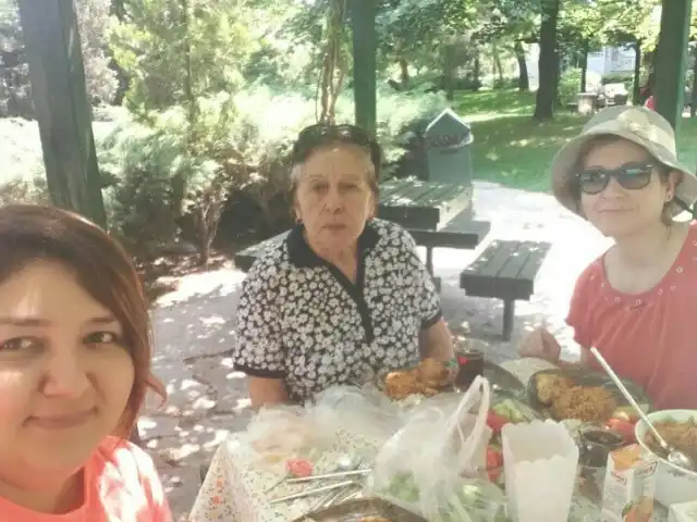 Yaseminpark Piknik Alani'nin yemek ve ambiyans fotoğrafları 14