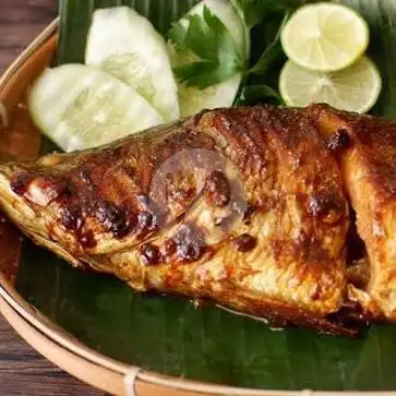 Gambar Makanan Ikan Bakar Losari Jaya, SAMPING RSUD GUNUNG MALANG 1