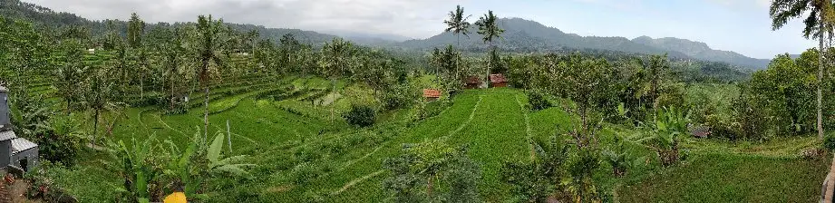 Gambar Makanan Warung Ume Anyar 6