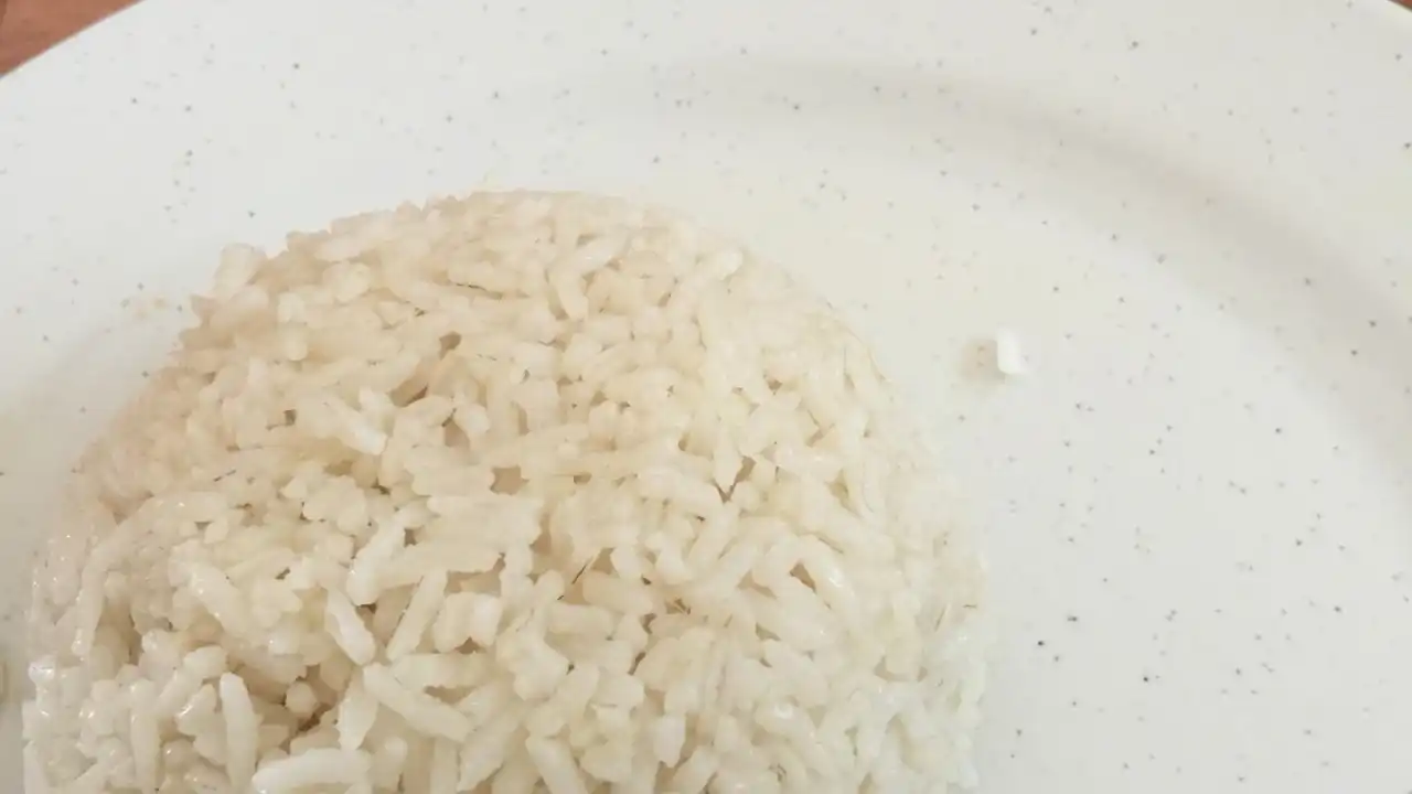 Nasi Ayam Hainan & Asam Pedas Melaka