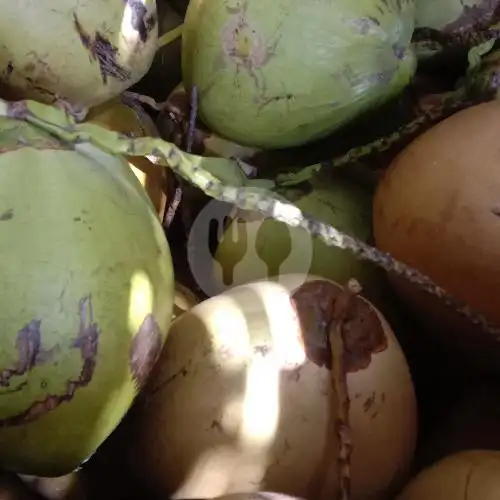 Gambar Makanan Warung Es Kelapa Muda Mastwokull 16