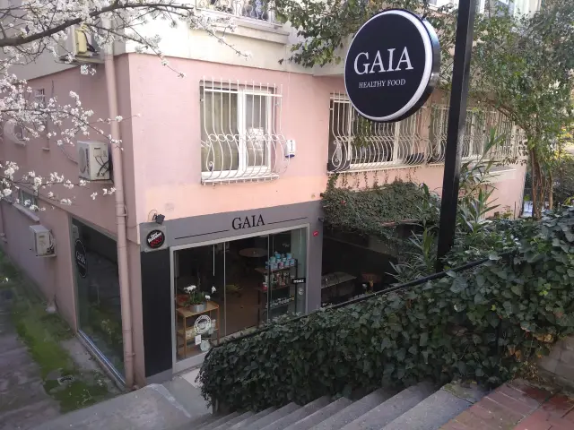 Gaia Healthy Food'nin yemek ve ambiyans fotoğrafları 4