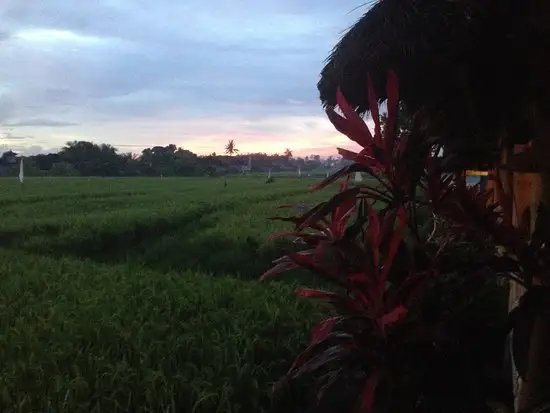 Gambar Makanan Warung Makan the Ulam, Munggu, Bali 11