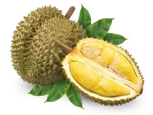 FIFA Pondok Durian