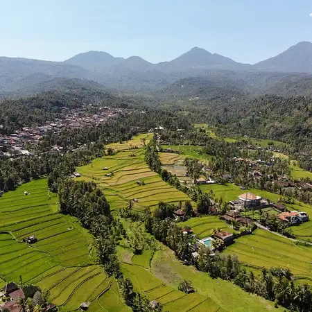 Warung Padi Bali