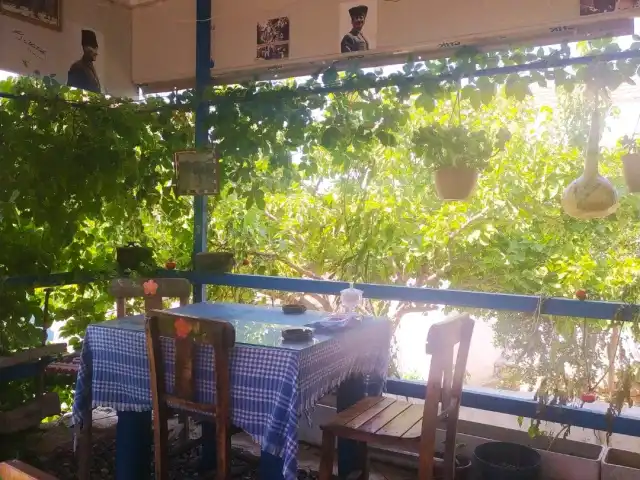 Atam Cafe'nin yemek ve ambiyans fotoğrafları 2