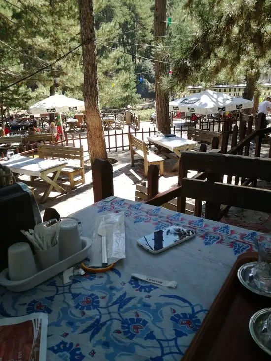 Anadolu Mangal Evi'nin yemek ve ambiyans fotoğrafları 16