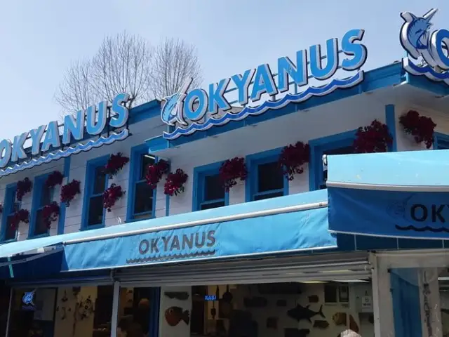 Okyanus Fish Resturant'nin yemek ve ambiyans fotoğrafları 16