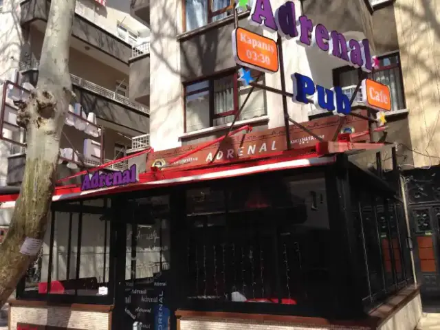 Nostalji Fasıl Cafe & Bar'nin yemek ve ambiyans fotoğrafları 2