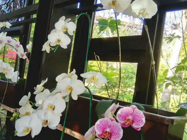 Gambar Makanan Orchid - Ayana Resort and Spa 16
