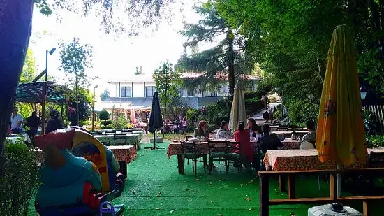 Hera Restaurant'nin yemek ve ambiyans fotoğrafları 1
