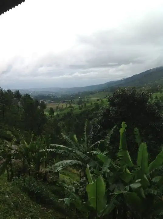 Gambar Makanan Warung Riung Gunung Puncak 11