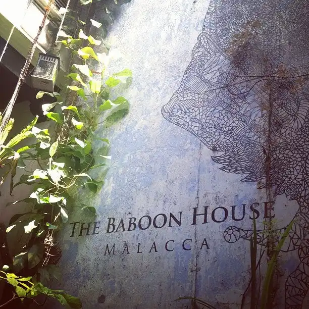 The Baboon House Food Photo 12