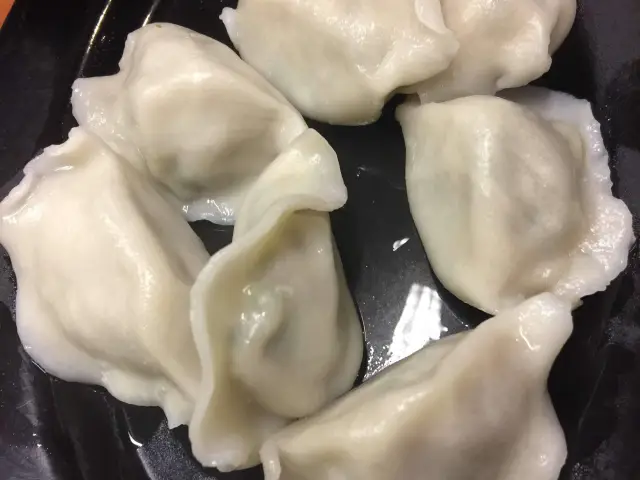Tasty Dumplings Food Photo 3