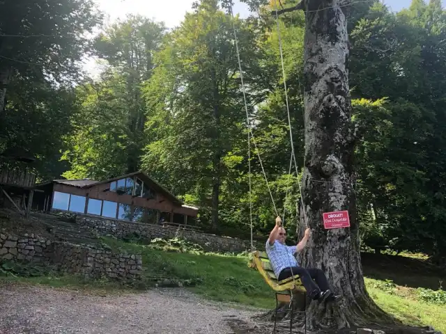 Kartepe Çamçeşme Restaurant'nin yemek ve ambiyans fotoğrafları 10