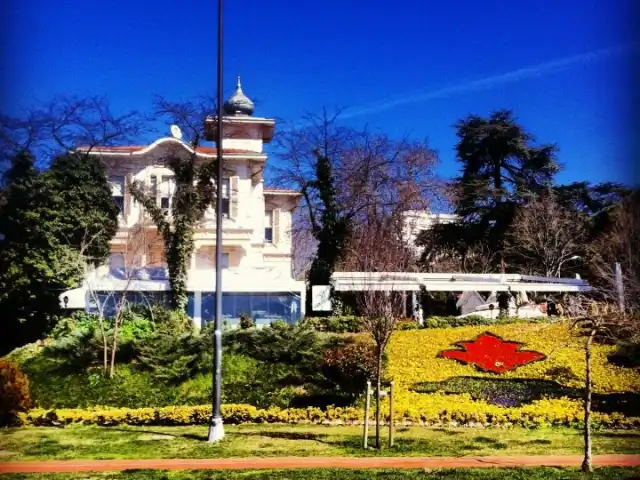 Café Zanzibar'nin yemek ve ambiyans fotoğrafları 18