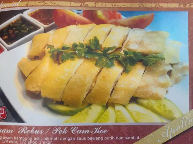 Gambar Makanan Apollo Hainanese Chicken Rice 5