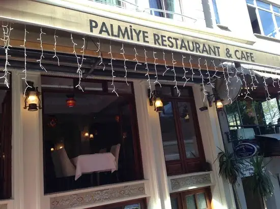 Palmiye Restaurant Istanbul'nin yemek ve ambiyans fotoğrafları 23