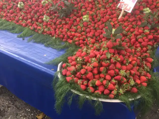 Eyüp Cuma pazari'nin yemek ve ambiyans fotoğrafları 5