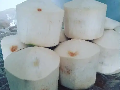 Kelapa Pandan Fresh, Toko Naiza