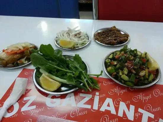 Oz Gaziantep Aile Kebap Salonu'nin yemek ve ambiyans fotoğrafları 15