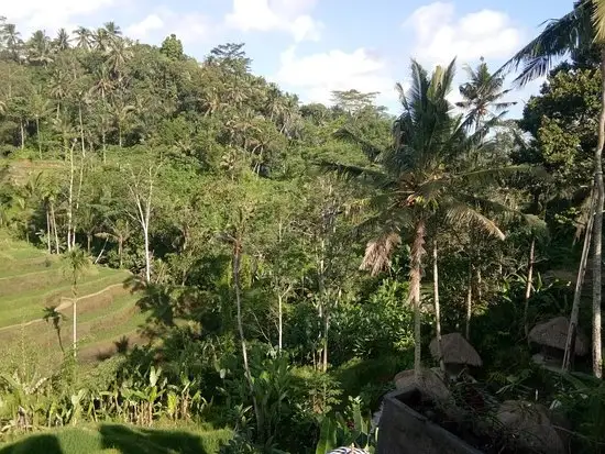 Gambar Makanan Carik Terrace Warung 7