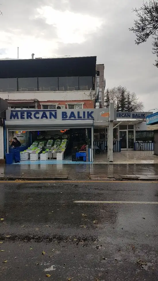 Mercan Balık'nin yemek ve ambiyans fotoğrafları 52