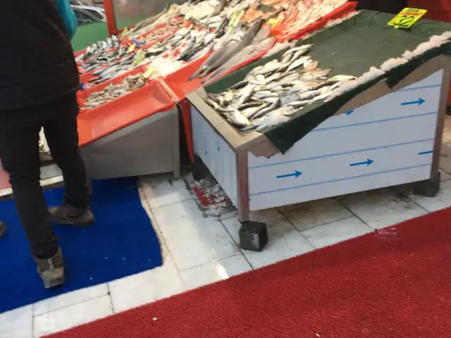 Ayabakan Balıkçılık
