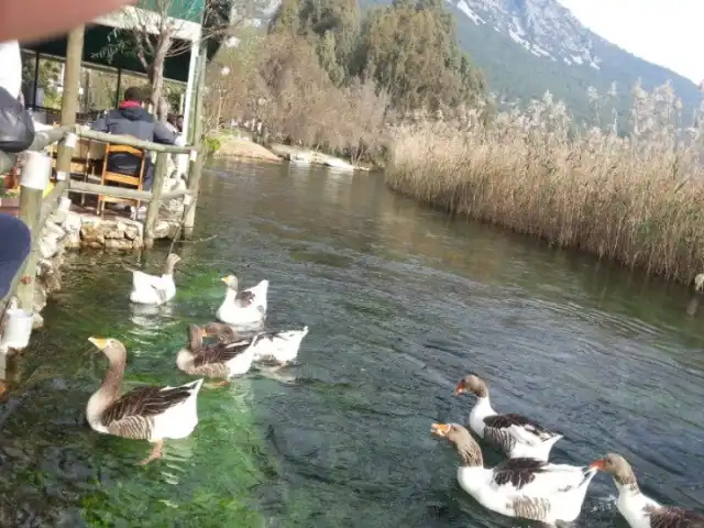 Kordon Restaurant'nin yemek ve ambiyans fotoğrafları 11