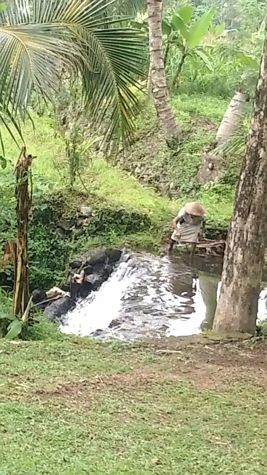 Gambar Makanan Kopi Rolas 17