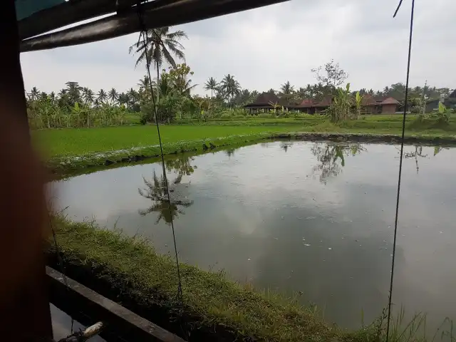 Gambar Makanan Waroeng Sawah "Mbak Ulfah" Ngrajeng Magelang 6