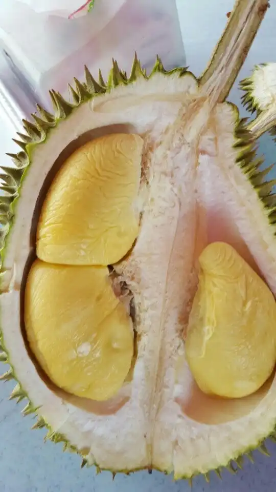 Durian Buffet Desa Aman Food Photo 3