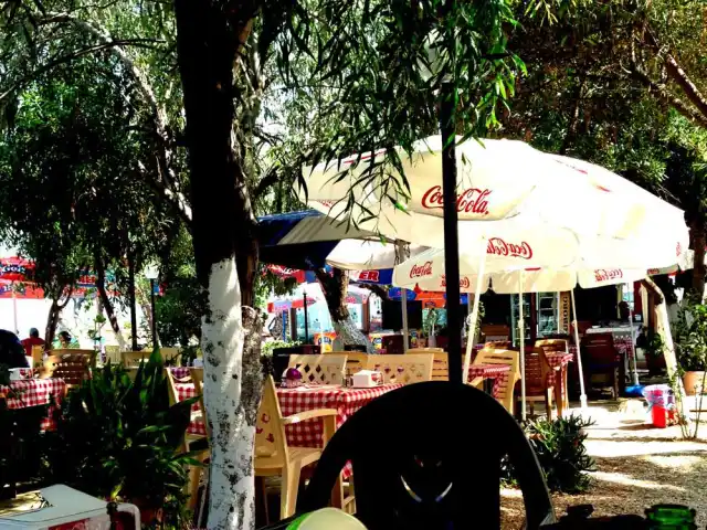 Dilek Cafe'nin yemek ve ambiyans fotoğrafları 2
