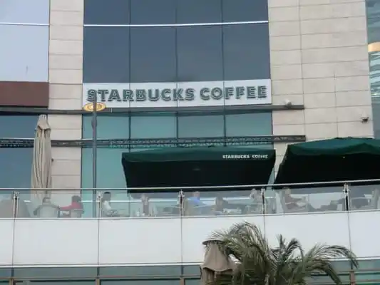 Starbucks'nin yemek ve ambiyans fotoğrafları 3